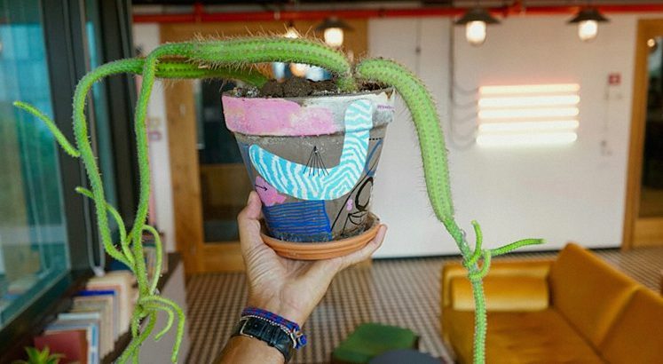 カラフルな鉢植えを手に持つ人と、窓の明るい室内