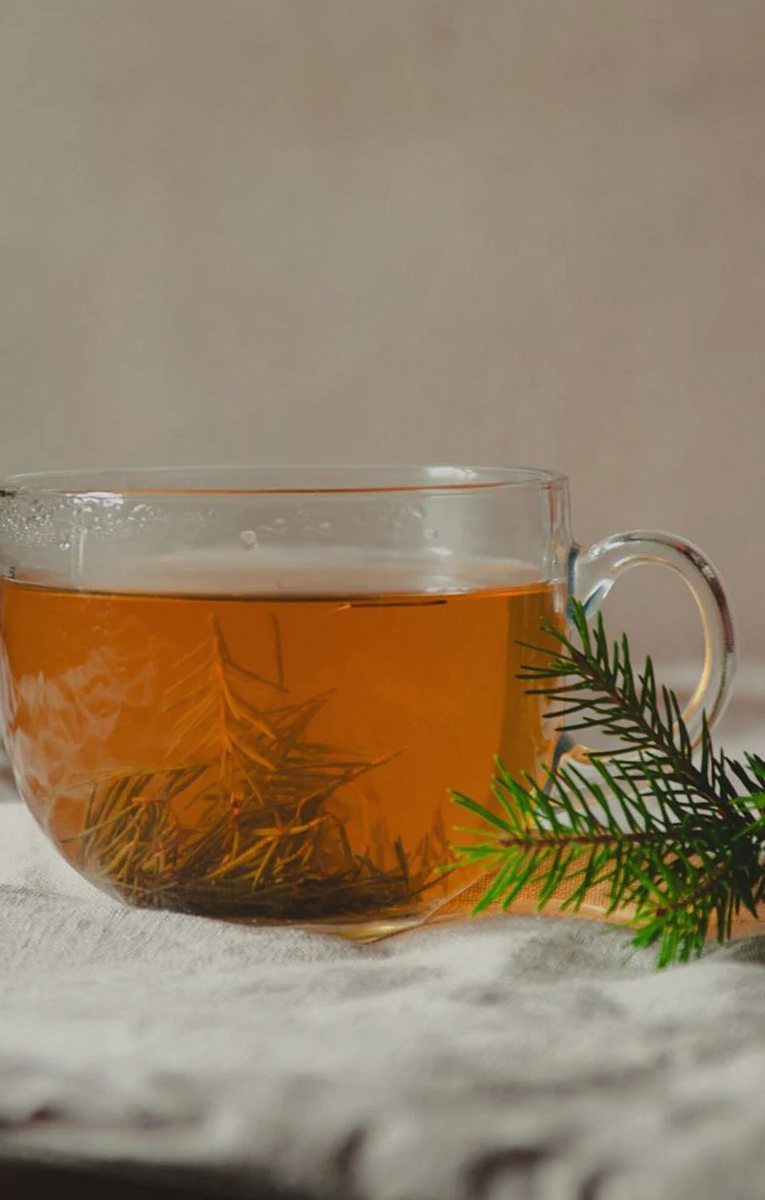 ガラスのカップに入った温かいお茶と松の枝